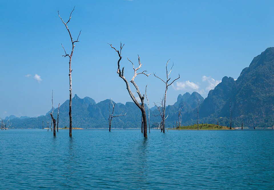 Arbres émergés et reliefs calcaires du lac Cheow Lan à Khao Sok